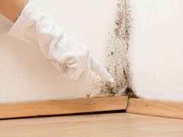 Mold Remediation for Rental Properties in Nicoma Park, OK